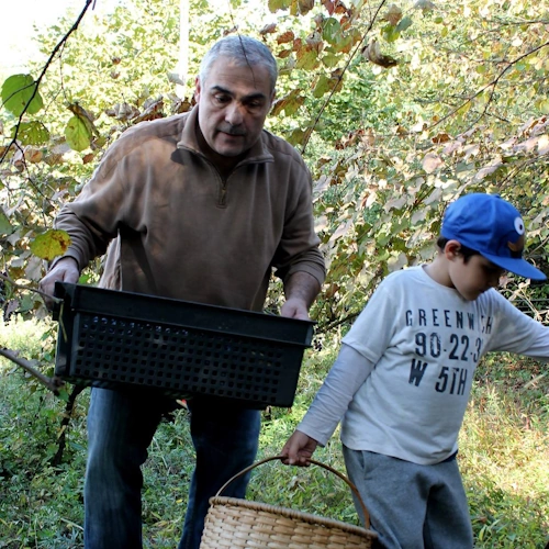 Traditional winemaking